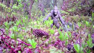Idaho Bigfoot Sighting
