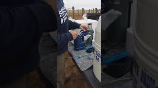 Preparación pajuelas de semen bovino - Inseminación artificial