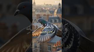 GOOD morning hv a lovely day 🌅#like #birds #shortvideo