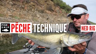 PÊCHE technique NED RIG : présentez vos leurres à la perfection !