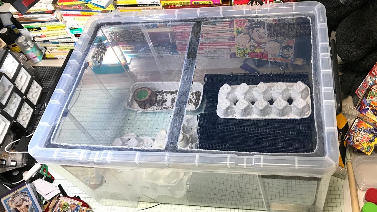 デュビアの全てを詰め込んだお家！！！ maxresdefault.jpg