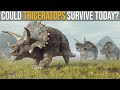 Could Triceratops Survive Nowadays?