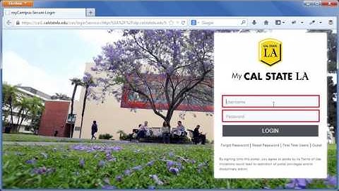 Cal State LA Web Platform: Logging In
