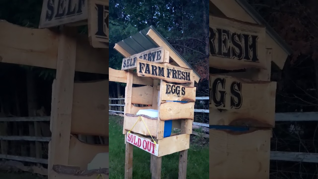 Self serve egg stand 