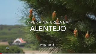 Natureza no Alentejo - Portugal