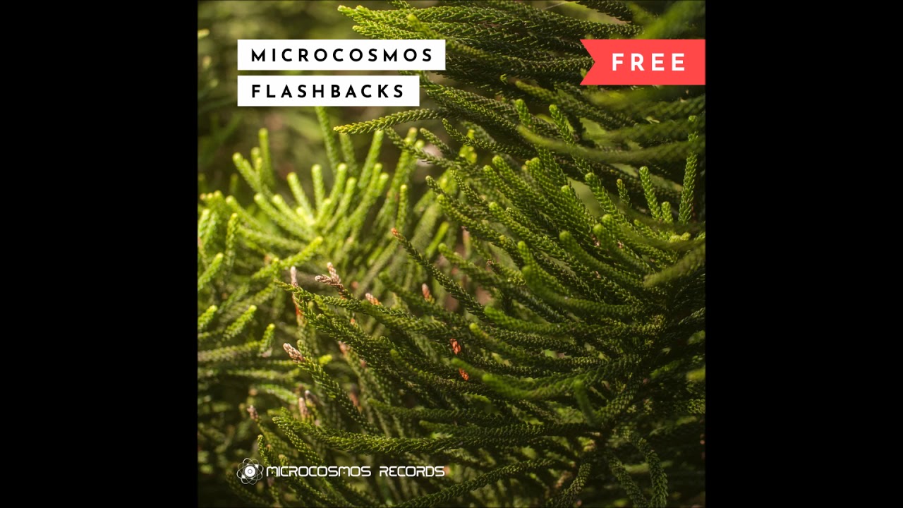 Microcosmos Flashbacks Chillout Mix