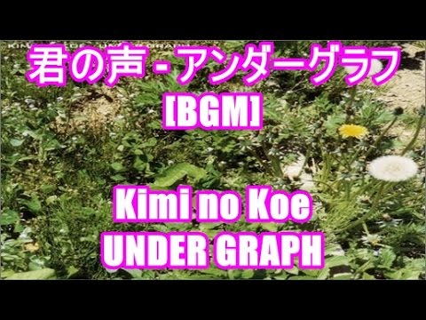 君の声 - アンダーグラフ[BGM]Kimi no Koe - UNDER GRAPH MUSIC.JP CMソング