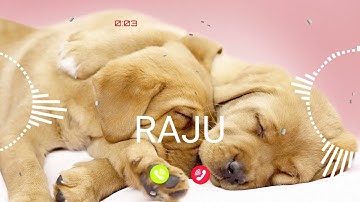 RAJU Name Ringtone || RAJU naam ki ringtone | RAJU name smart ringtone | iphone ringtone