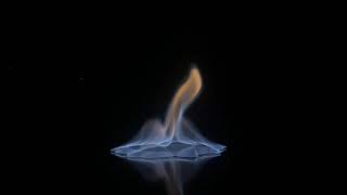 Flow Visualization