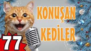 Konuşan Kediler 77 En Komik Kedi Videoları PATİ TV by Pati TV 48,391 views 1 year ago 9 minutes, 9 seconds