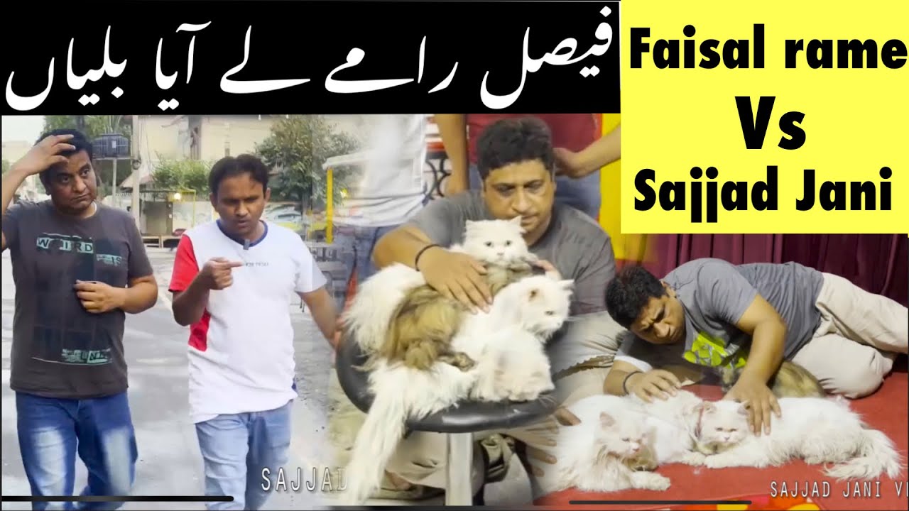 Sajjad Jani and Faisal Ramay Funny Video  Latest Punjabi Comedy Video  Faisal Ramay Cats Funny Vid