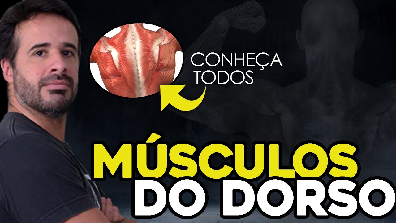 CONHEÇA TODOS OS MÚSCULOS DO DORSO