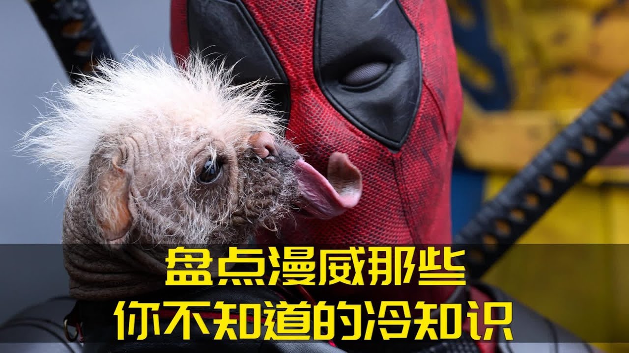 盤點漫威那些你不知道的冷知識 死侍狗是現實里最丑的狗之一 #超級英雄 # #電影解說 # #電影解說 - YouTube