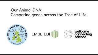 Our Animal DNA Workshop Video