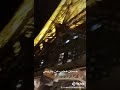 شاهد حسين محب من باريس