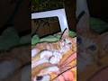 😹 Every time I want a nice clip, he overacts! ... #cat #cats #funny #adorably #kitten #clips #shorts