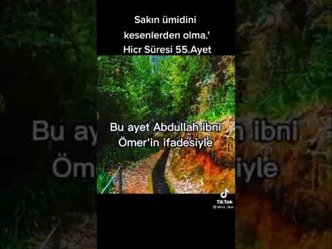 sakın ümidini kesenlerden olma hicr süresi 55 ayet