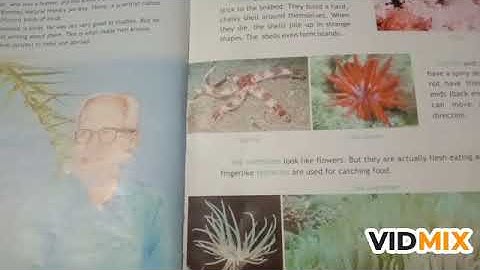 Ch.10 Animals without bones(part 1)