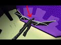 What if the ender dragon goes to nether