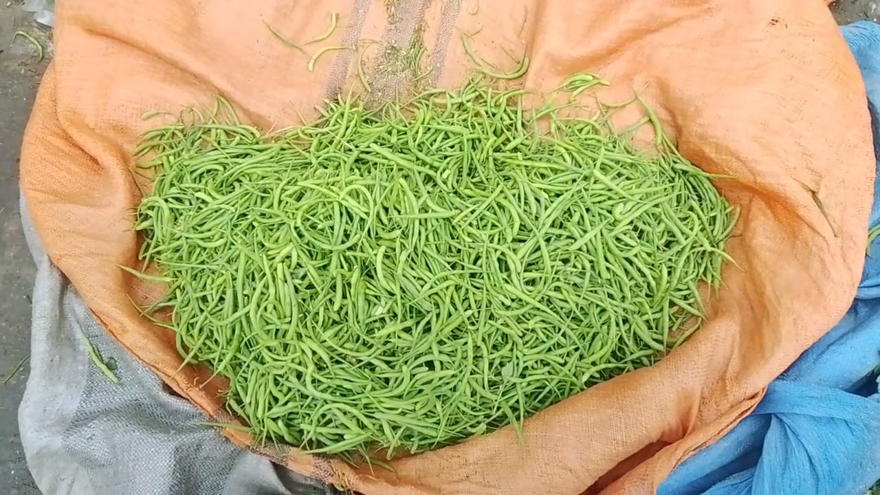 ملتان چونگی سبز منڈی لاہور اج کا سبزی کا تازہ ریٹ اپ کے علاقے میں کیا ریٹ ہے کمینٹس میں بتائیں 