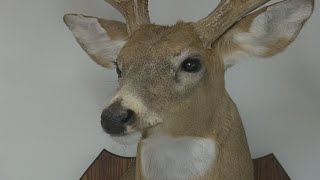CWD threatens Louisiana’s deer population