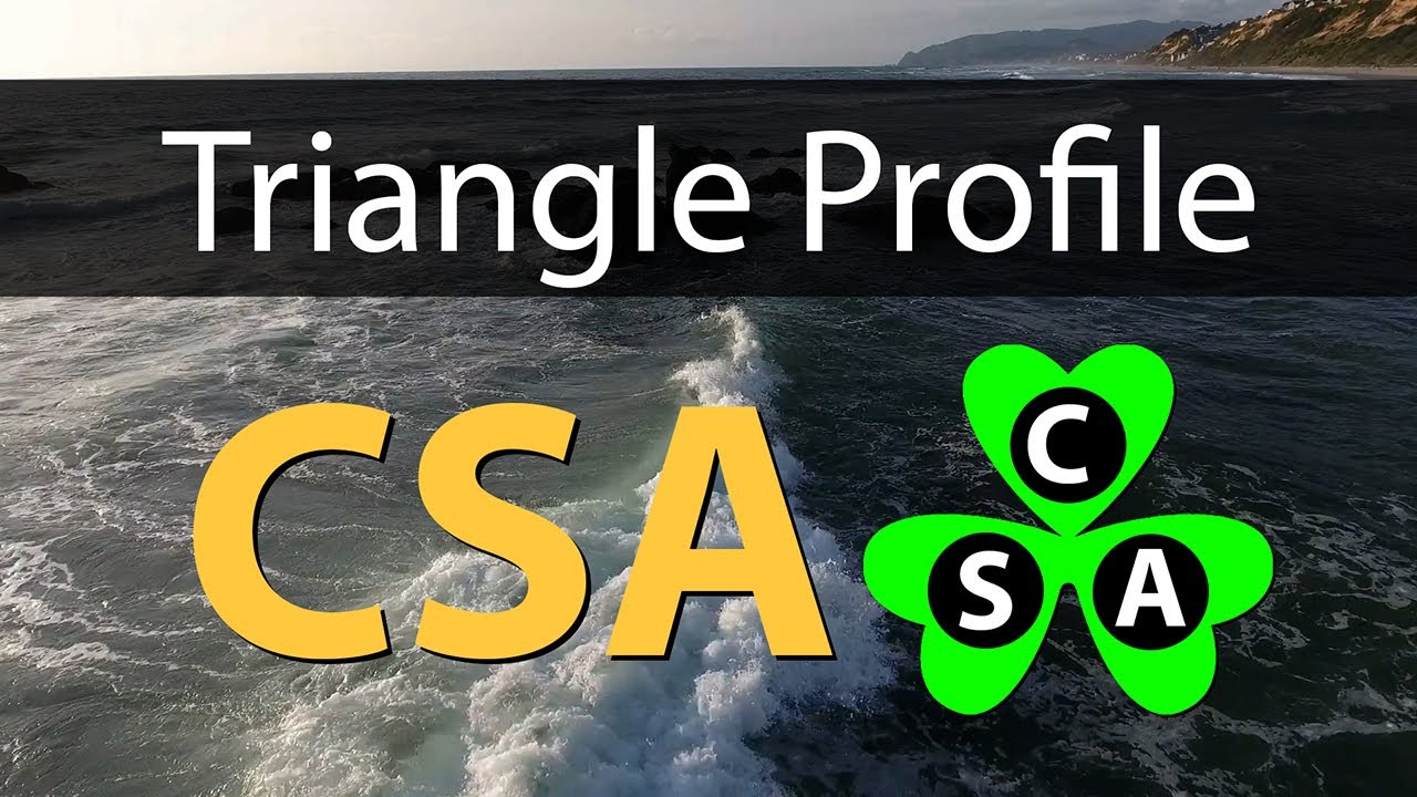 CSA Triangle Profile from Tara’s Triangle Personality Type Psychology Tool
