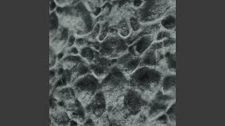 Synairesis