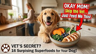 🛑 STOP feeding them this! 16 Vet-Approved Superfoods 🐾