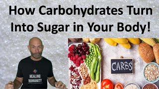 How Carbohydrates Turn Into Sugar In Your Body #carbohydrates #sugar
