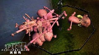 一からの人間作り【Species】#last