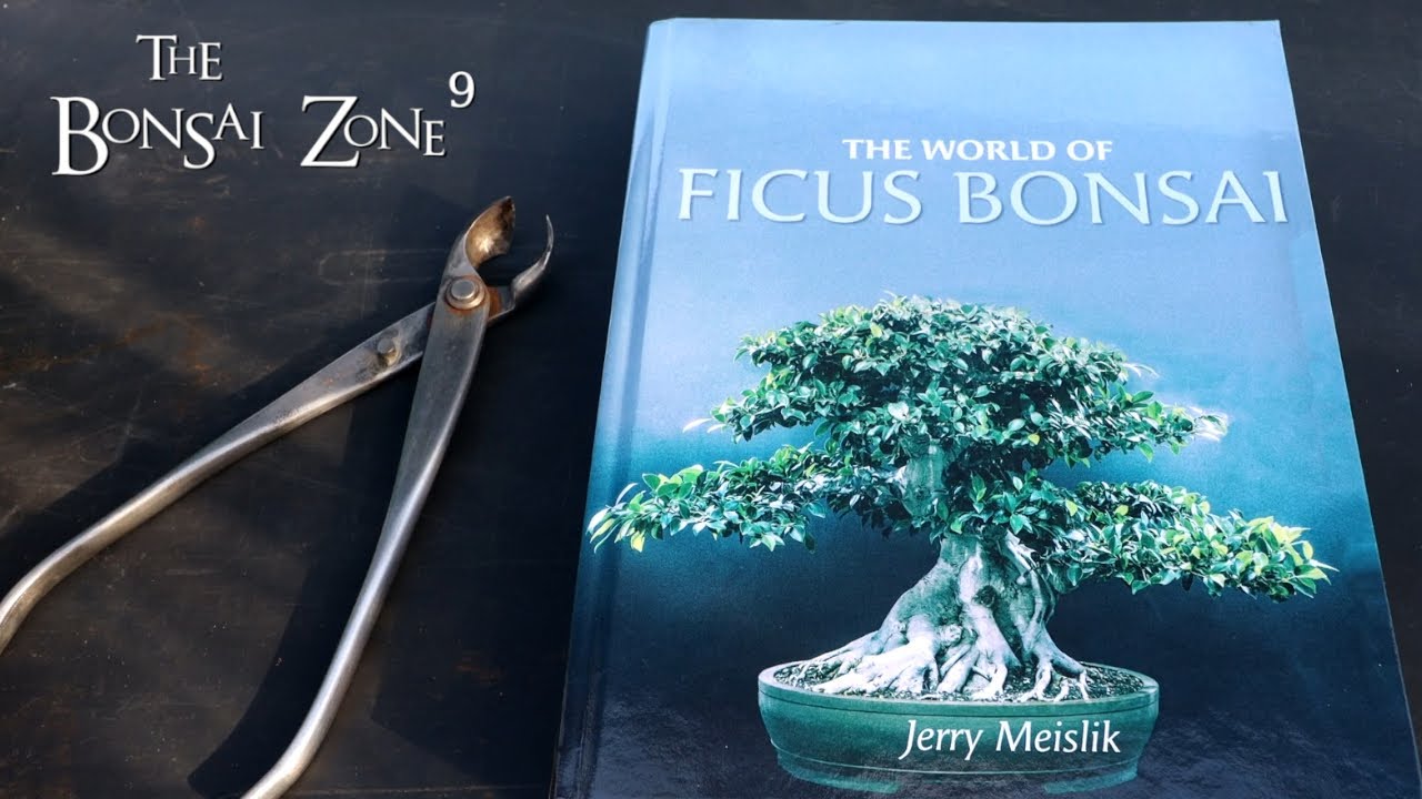 Ficus Friday, Book Review and Tool Restoration, The Bonsai Zone, Jan 2022
