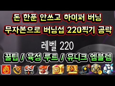 [메이플스토리 맑음] 하이퍼 버닝 돈 한푼 안쓰고 <strong>무자본으로</strong> 버닝서버 220레벨 찍기 완벽 공략! / 꿀팁 / 육성루트 / 노하우 / 유니크 엠블렘 / 버닝 스텝업 미션 공략