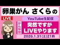がん患者・家族・遺族のYouTube生配信 卵巣がんさくら 2026.1.31