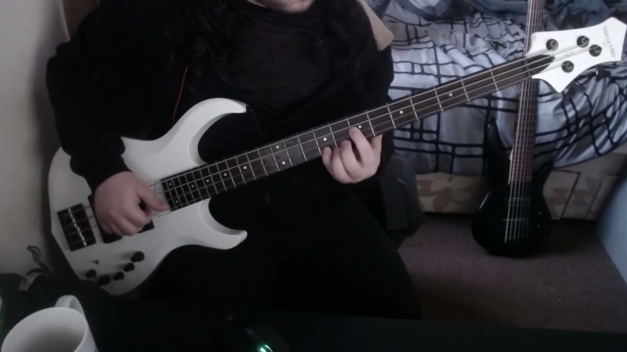Slipknot - Snuff | Bass Cover (Tabs In Description)