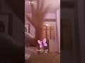 ام قرررر ام كي ام قرررر ام كي
