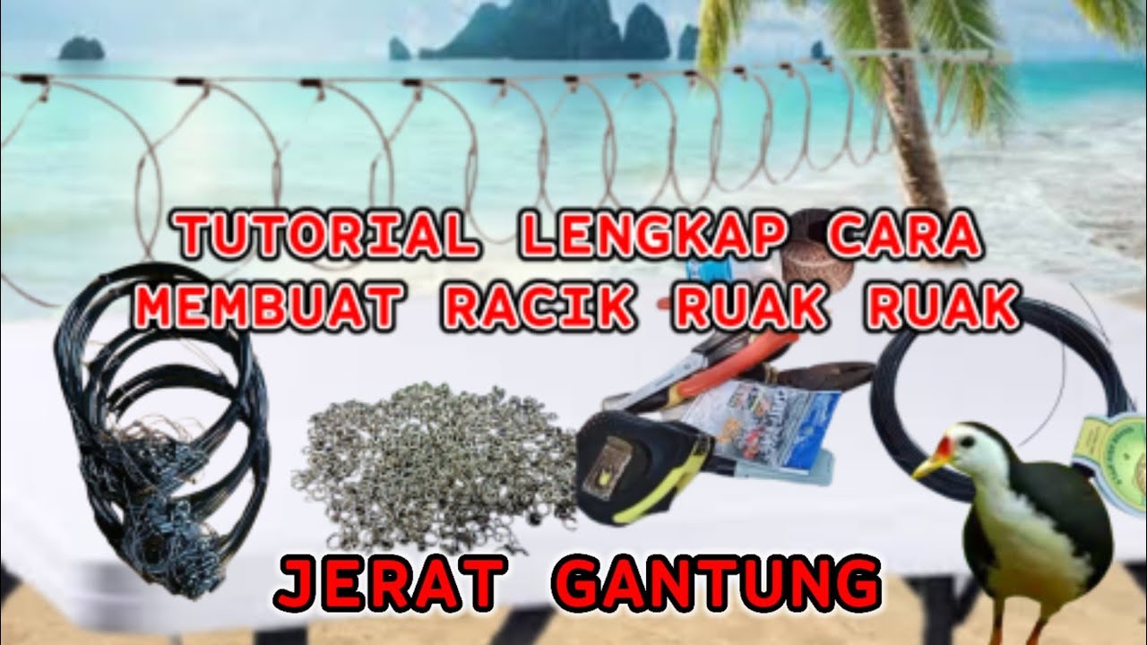 Cara Membuat Jerat Racik Burung Ruak Ruak || Bird Trap