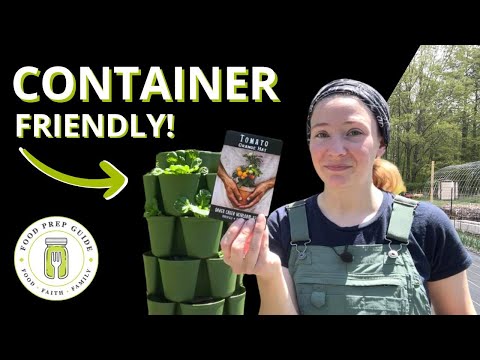 5 Plants for Small-Space Container Gardening | Growing a Snack Bar