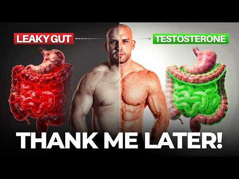 Low Testosterone is NOT Your Problem… Leaky Gut Is (Fix it ASAP)