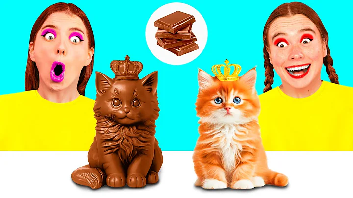 Real Food vs Chocolate Food Challenge | Smart Gadgets vs Hacks by BaRaDa Best