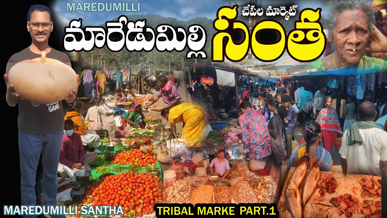 Maredumilli santha tribalmarkets మారేడుమిల్లి సంత ట్రైబల్సమార్కెట్ tribal santha Tribe santha