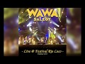 Wawa Salegy - Tiankavagna, Live @ Toulouse 2017 - audio