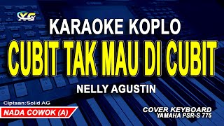 CUBIT TAK MAU DI CUBIT KARAOKE KOPLO  NADA PRIA / COWOK (NELLY AGUSTIN )