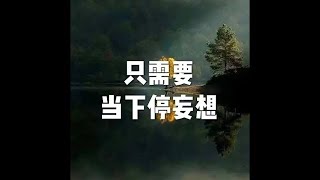 202201 只需要当下停妄想51591