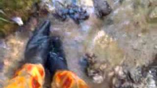 Sancho Boots heels wet