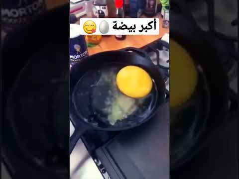 أومليط بيض النعام