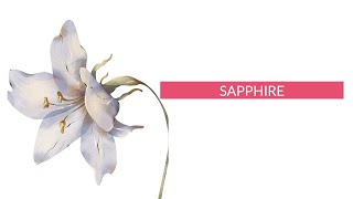 Where luxury meets the allure of sapphire