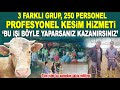 'Kurbanlık İşinde Ekibin Sağlam Olursa Kazanırsın!' Yıldırım Besi Çiftliği 2023 Kurbanlık Fiyatları
