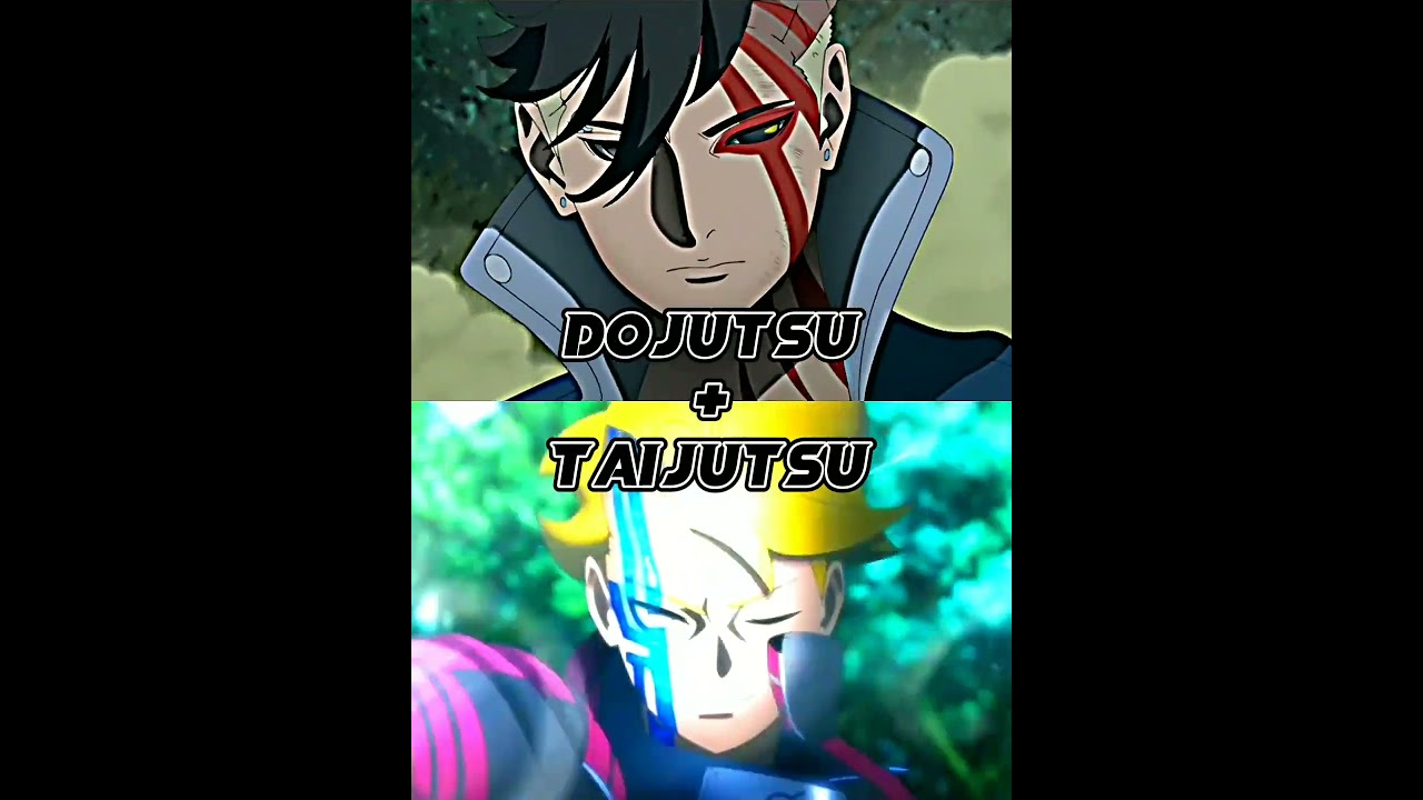 KawaShiki VS BoruShiki 