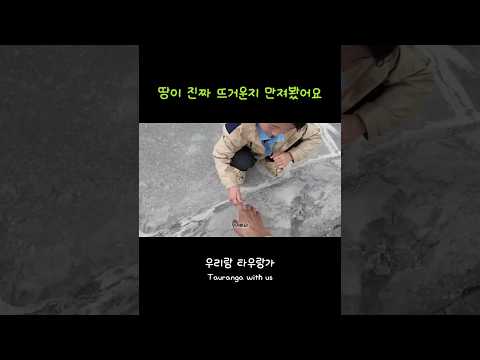땅이 진짜 뜨거운지 만져봤어요