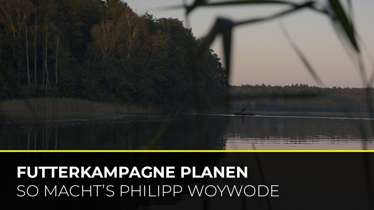 Karpfen anfüttern - Wie starte ich eine Kampagne? | Futterplatz ...